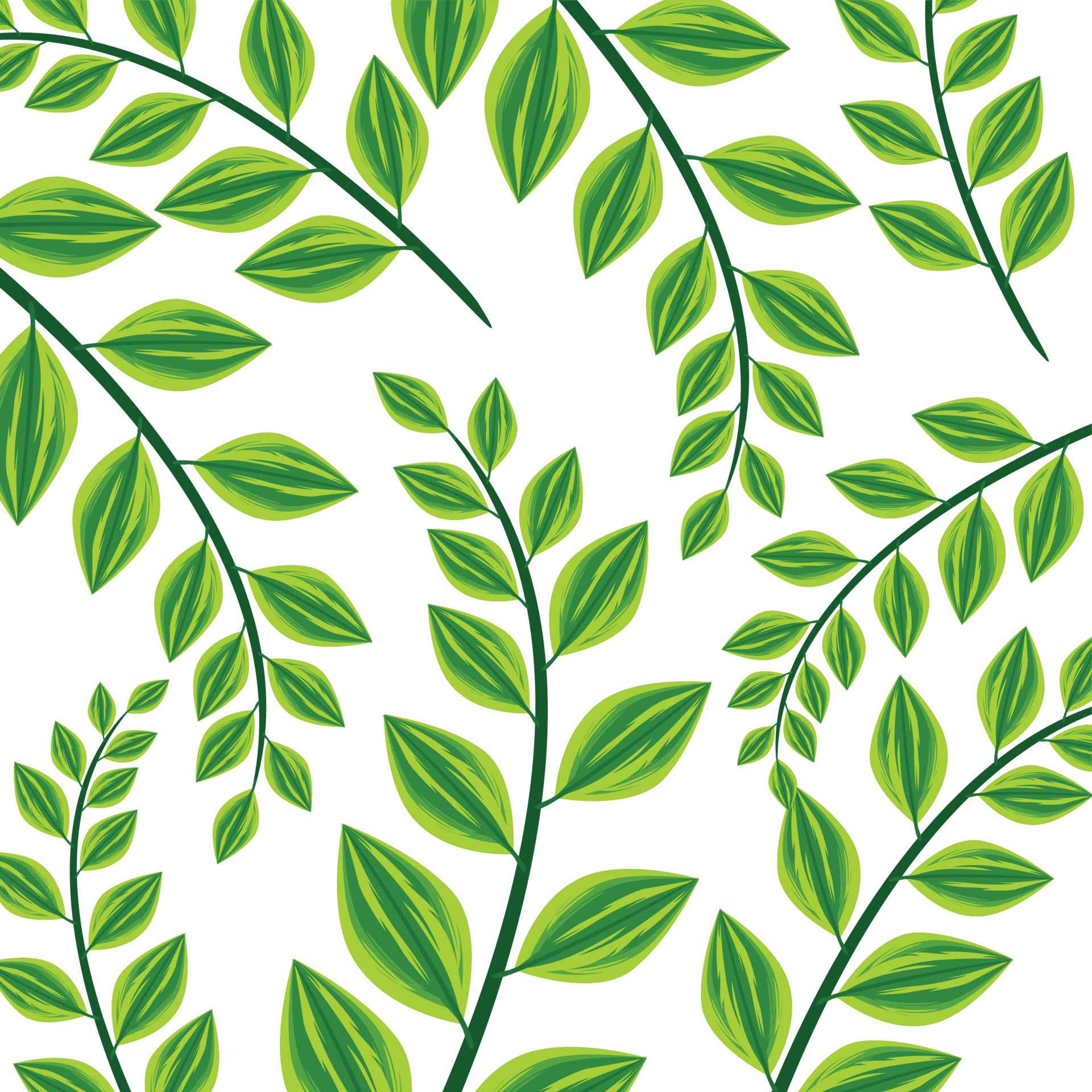 Vector abstract green leaf background 20142550 Vector Art at Vecteezy
