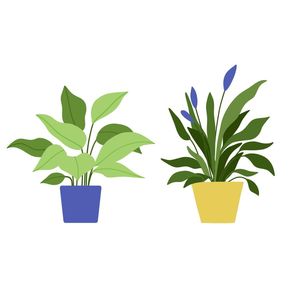 Hand drawn house plants and flower in pots. Set of vector illustrations in flat style isolated on white