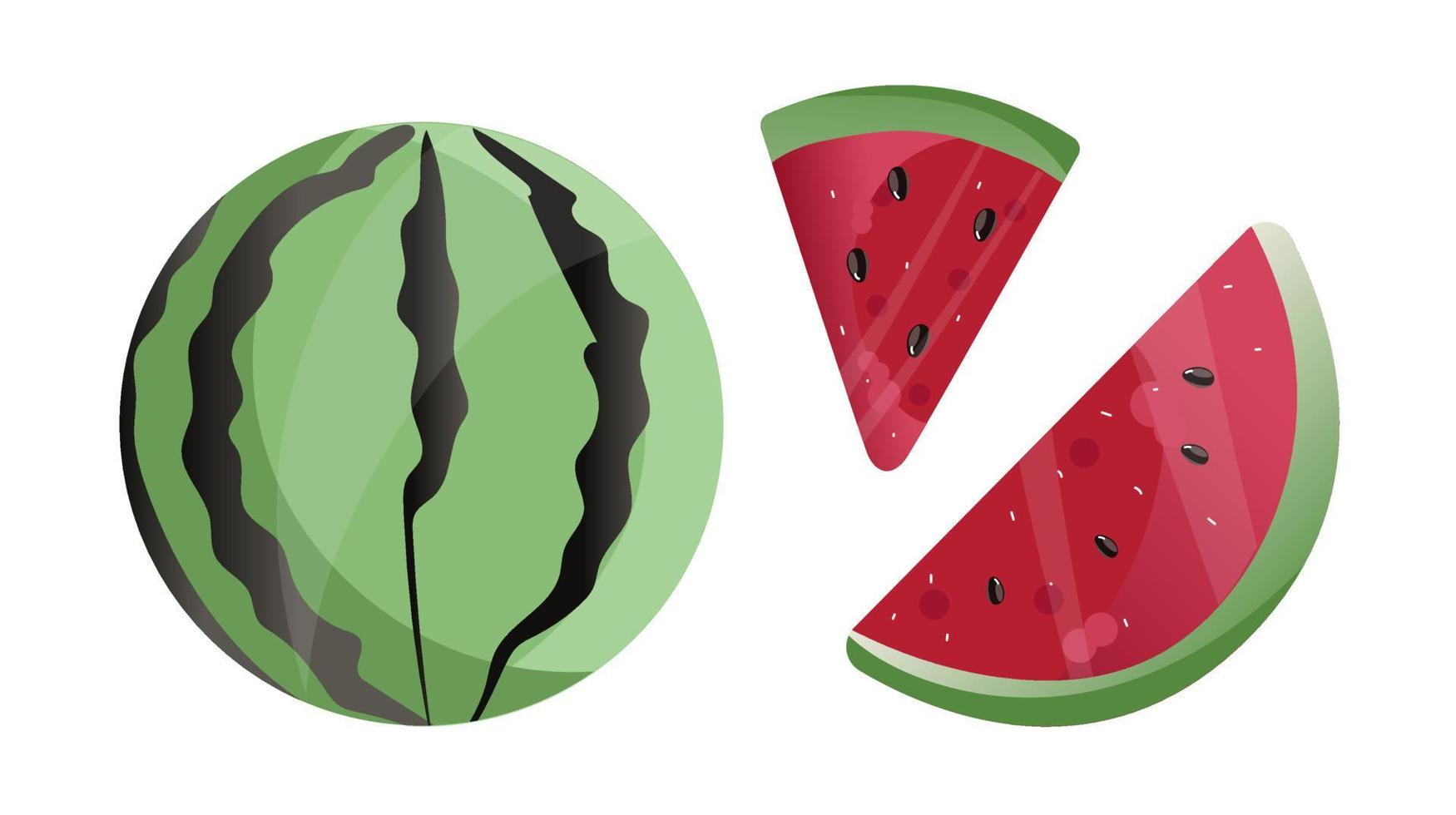 Watermelon icons set. Cartoon set of watermelon vector icons for web design.