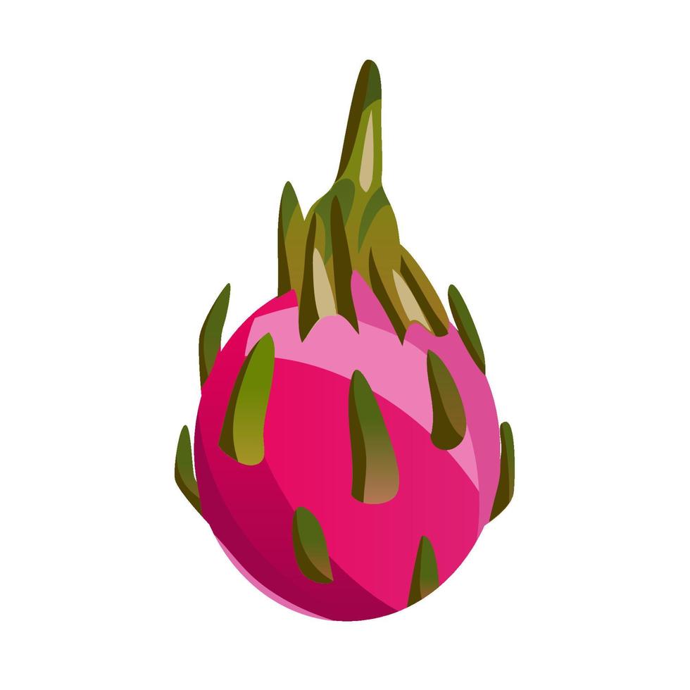 Dragon fruit isolated on a white background. Set realistic fruit. Macro icon juicy pitahaya and slices. Exotic sweet fruits. vector