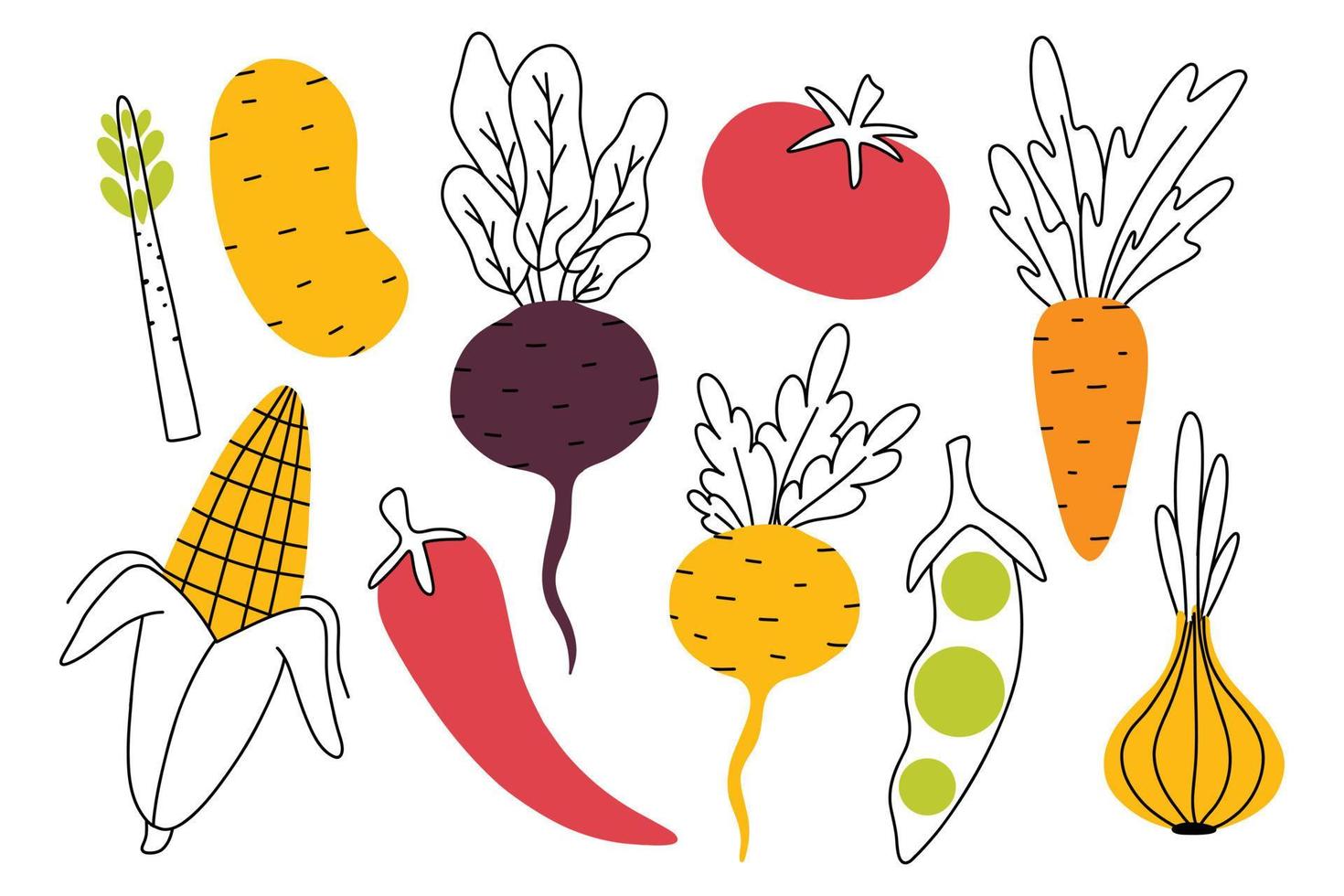 Set of root crops in doodle style. Collection of vegetables in a linear style. Vector illustration. Onions, peas, beets, turnips, tomatoes, corn. Types of root crops.