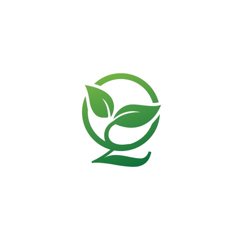 Vector simple minimalist Q leaf logo