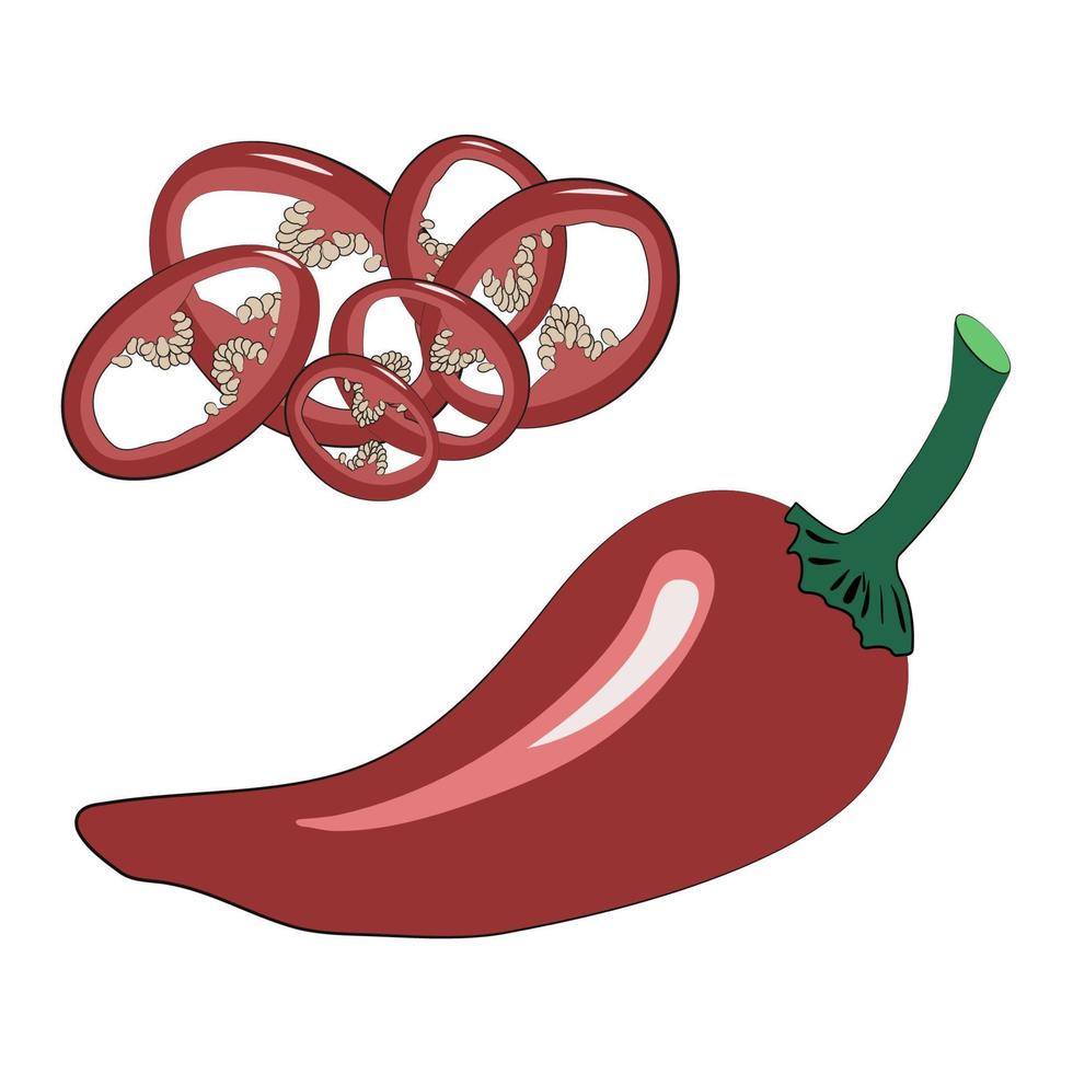 Set of red chili peppers - sliced into rings and a whole pod. Spicy seasoning for ramen noodles soup. Vector illustration in hand-drawn style on a white background.