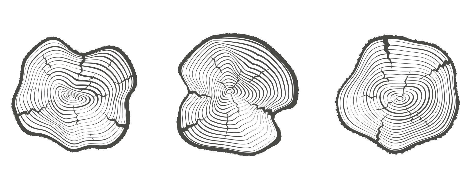 árbol anillos de madera registros circulo anual tocón textura y topografía círculos contorno madera rebanadas colocar. vector