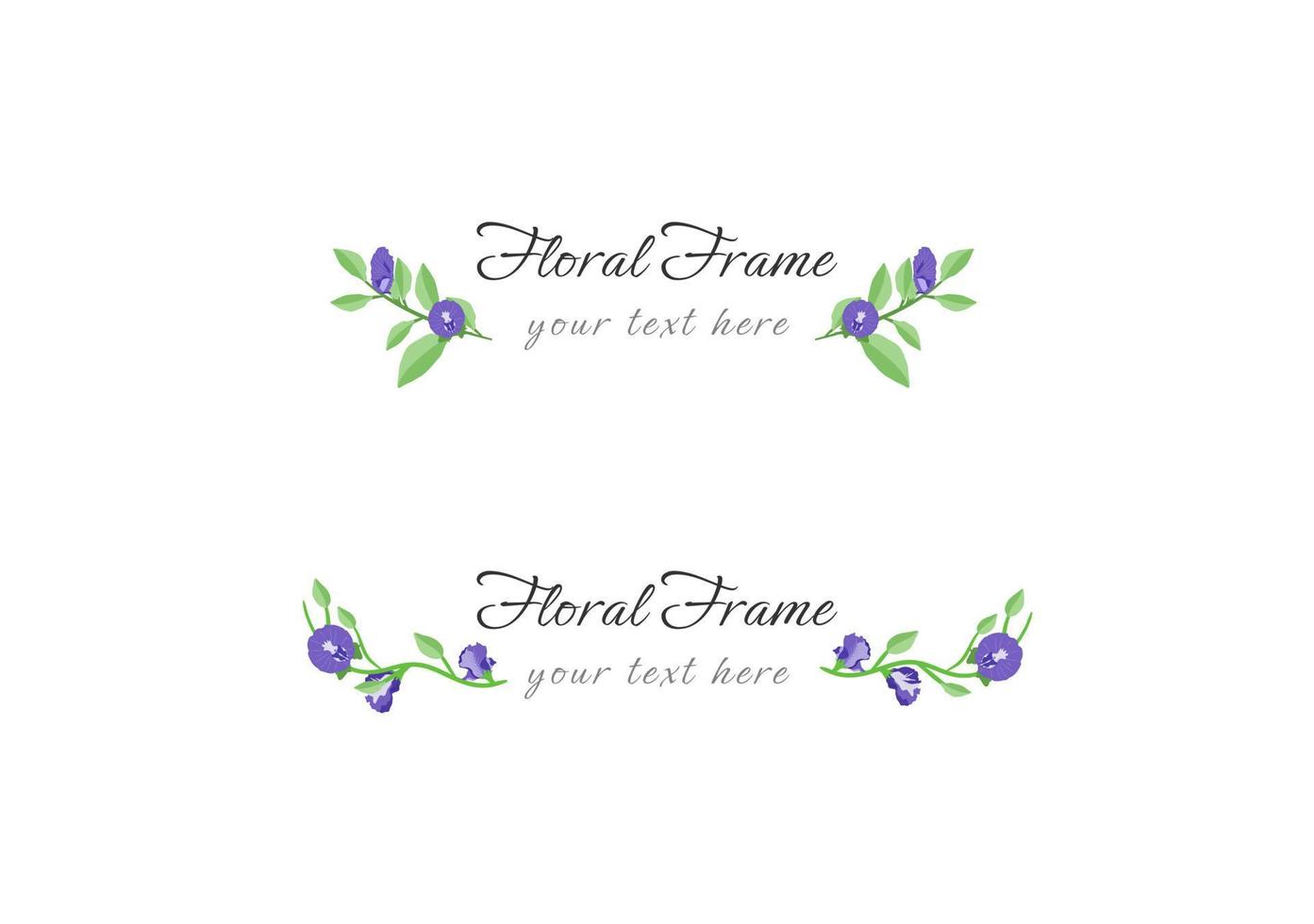 set of beautiful butterfly pea floral frame vector