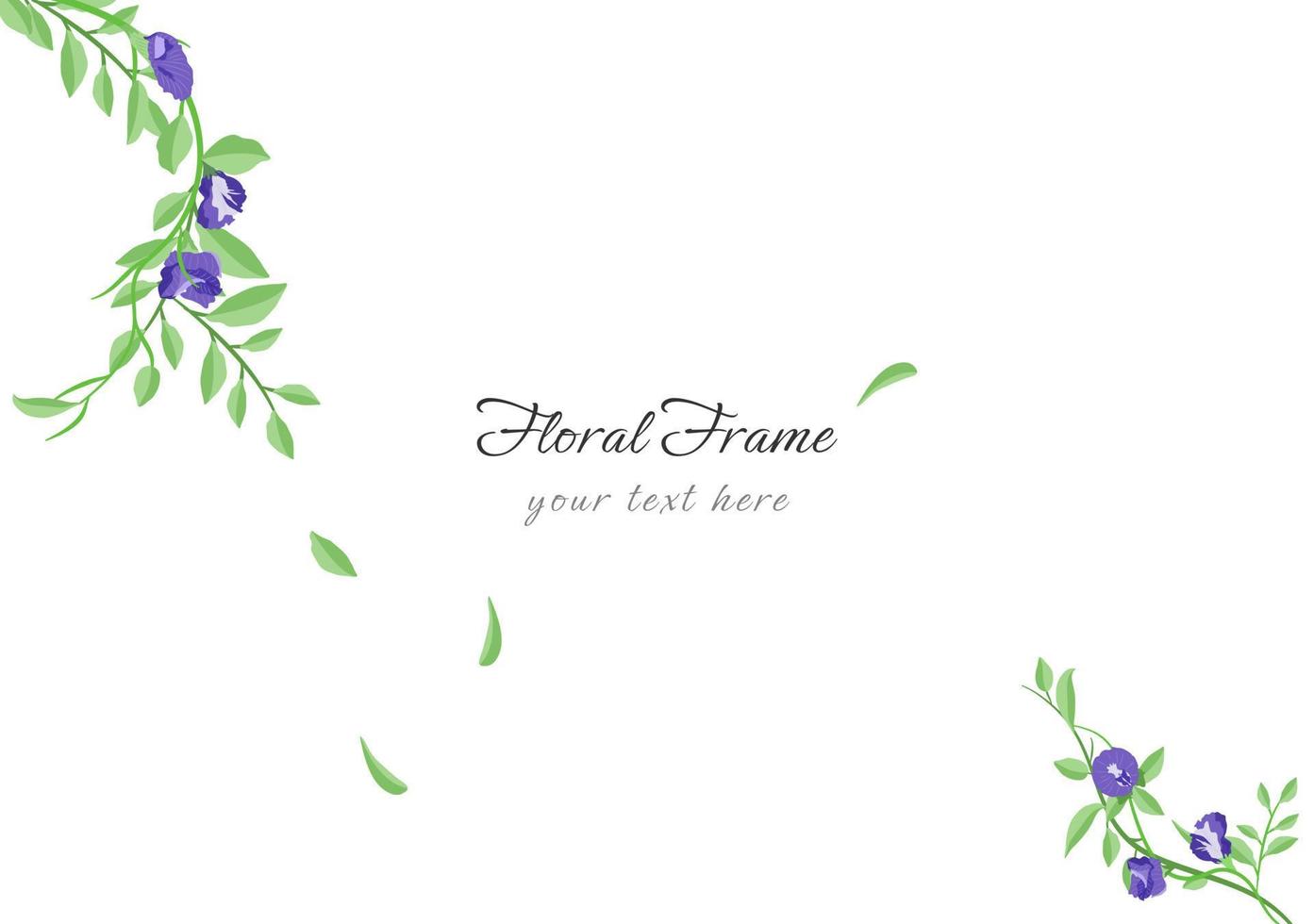 set of beautiful butterfly pea floral frame vector