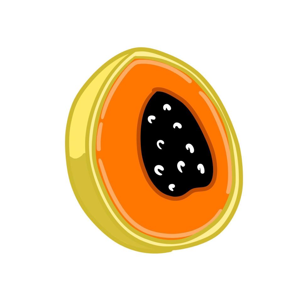 Vector isolated colorl papaya. Organic vegetable food illustration for healthy nutrition diet vegetarian or vegan