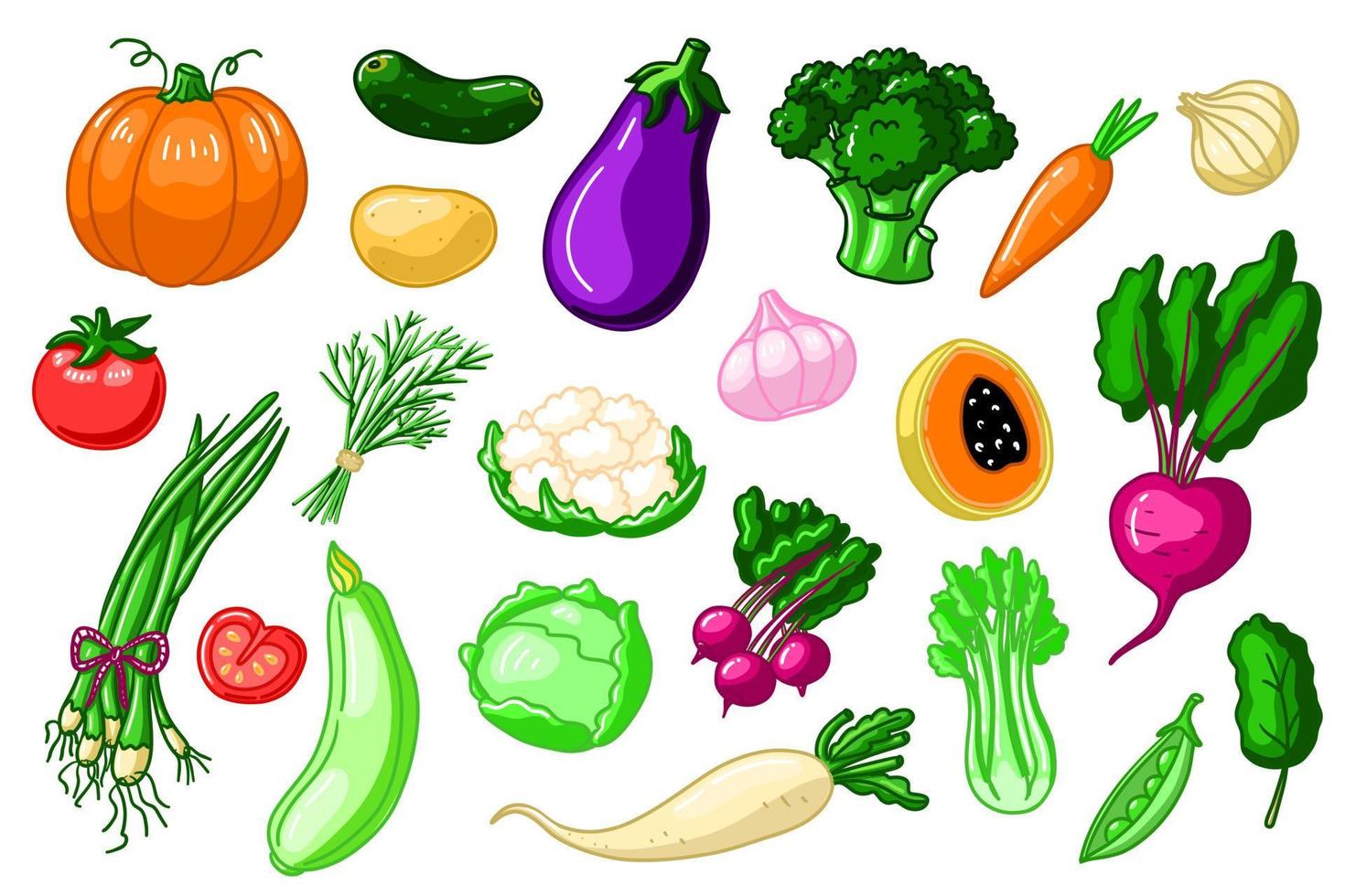 Vegetable doodle color collection. Healthy diet for vegetarian, vegan. Organic broccoli, carrot, cucmber, cabbage, cauliflower, eggplant... Ingridients for menu vector
