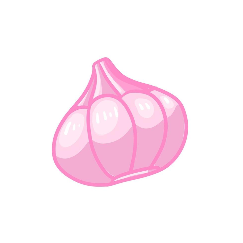 Garlic vector icon.Cartoon vector icon isolated on white background garlic .