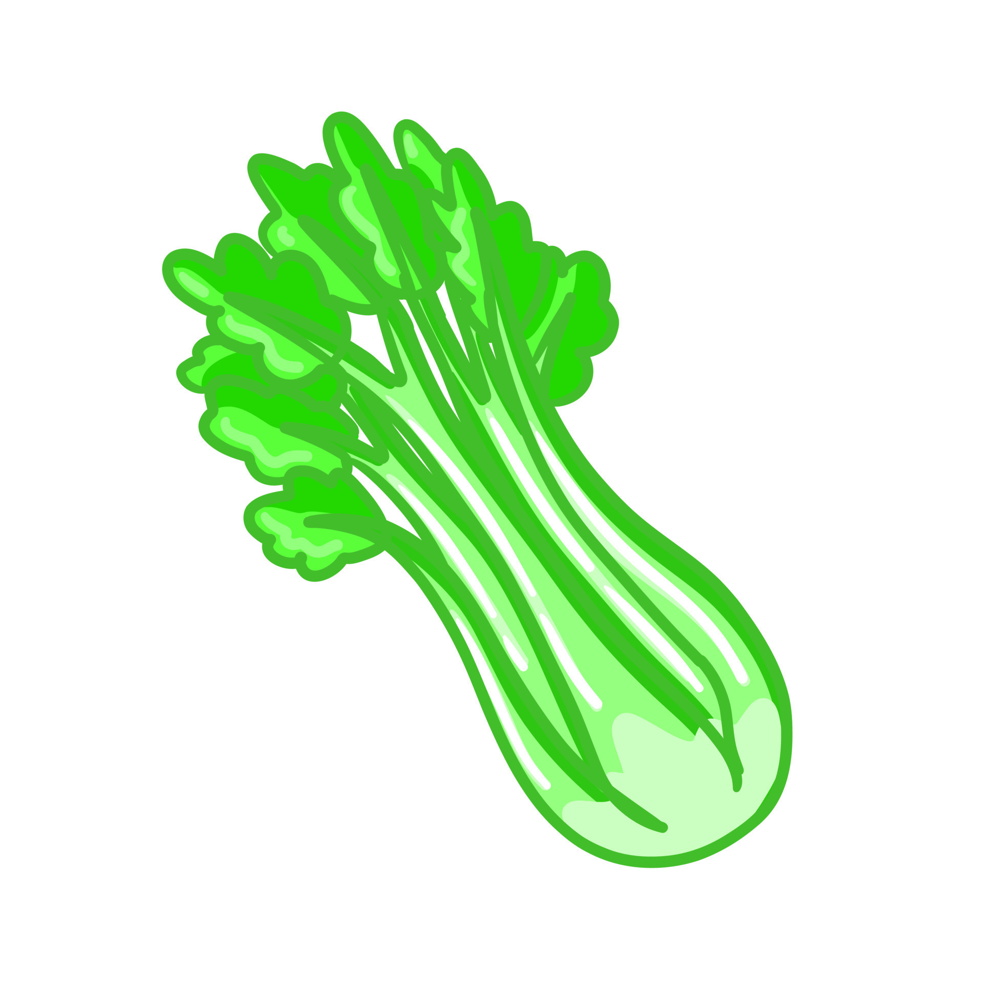 Isolated object of celery and bunch symbol. Graphic of celery and stick