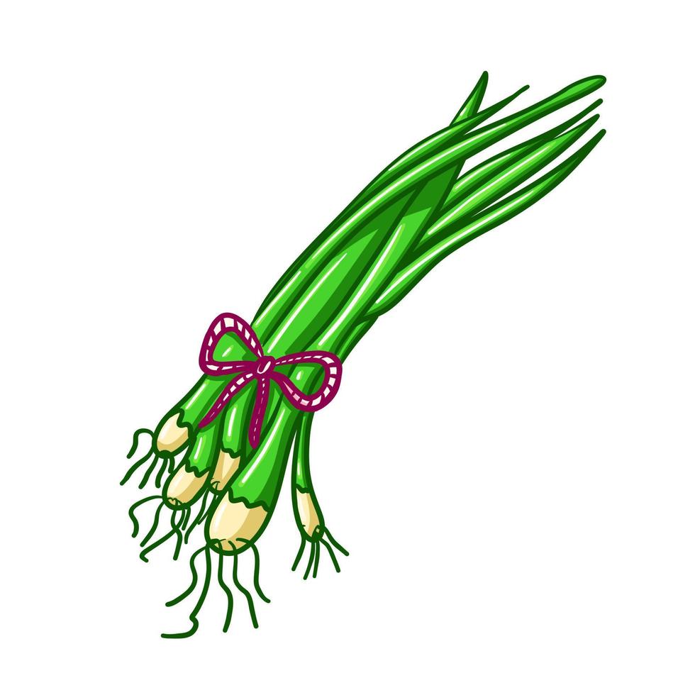 Green spring onions isolated on white background. Vector food of leeks. Illustration of fresh cut green vegetable. Icon in cartoon doodle style.