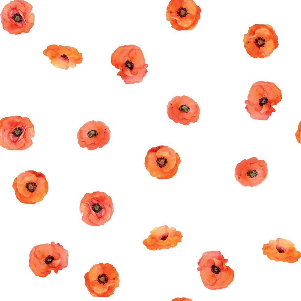 Watercolor seamless pattern with hand drawn summer bright red poppy flowers. Isolated on white background. Design for invitations, wedding, love or greeting cards, paper, print, textile vector