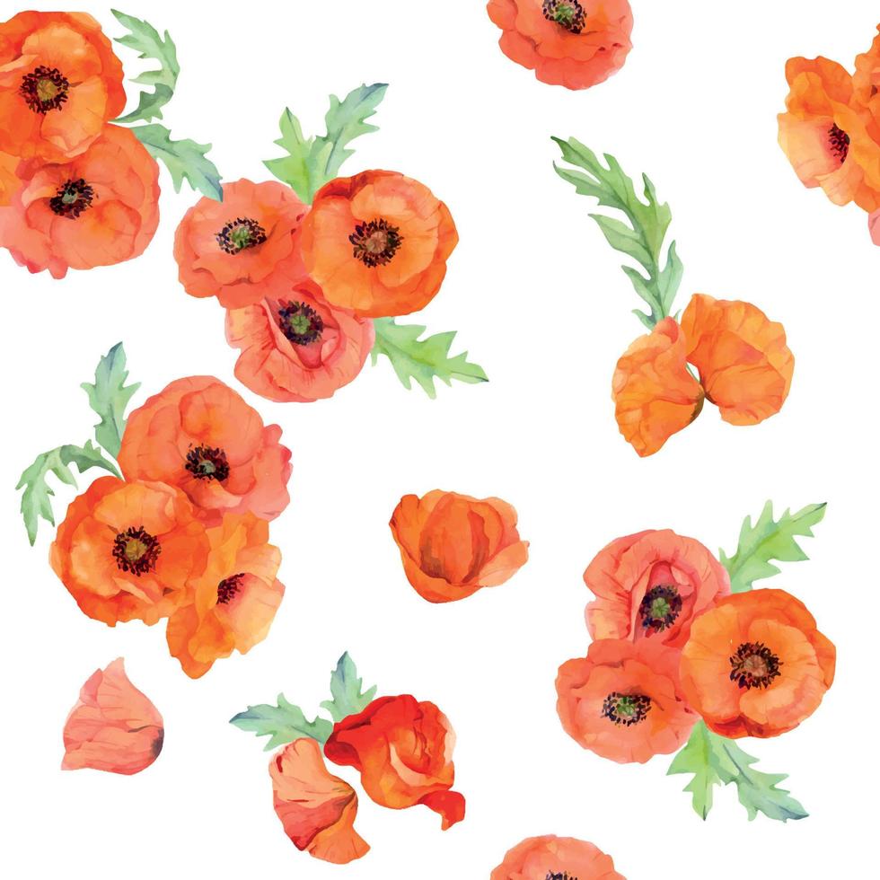 Watercolor seamless pattern with hand drawn summer bright red poppy flowers. Isolated on white background. Design for invitations, wedding, love or greeting cards, paper, print, textile vector