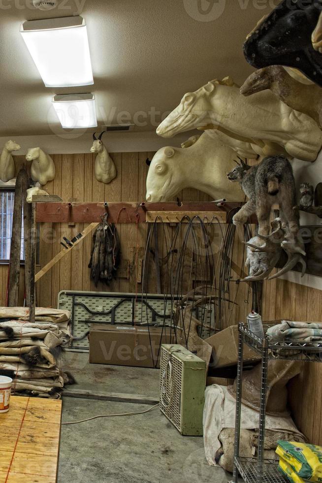 Alaskan Taxidermy shop photo