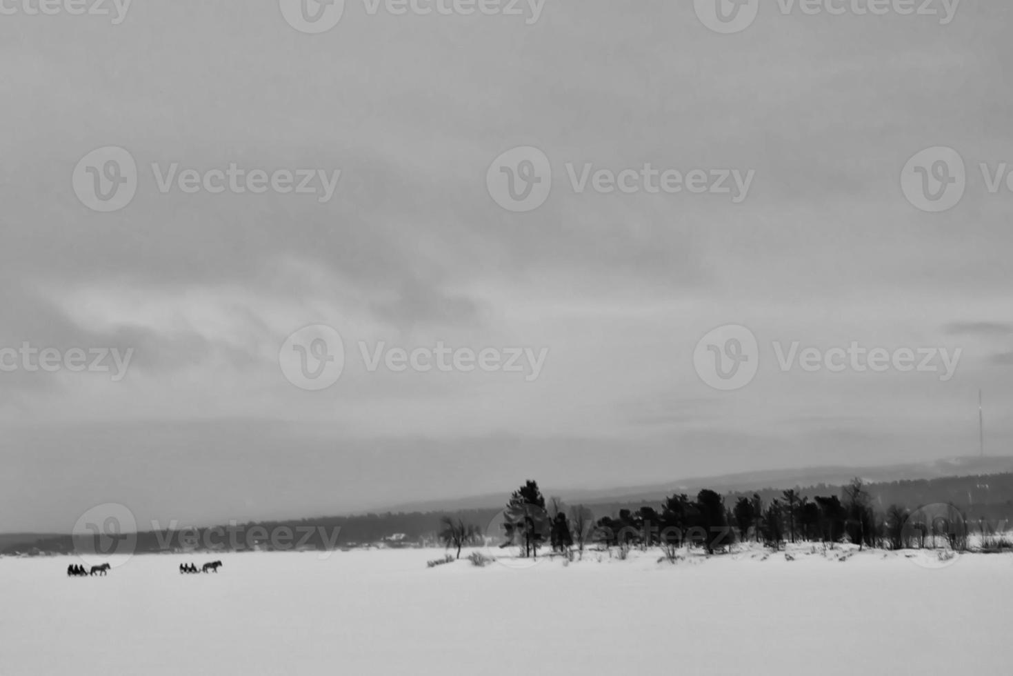 laponia en invierno foto