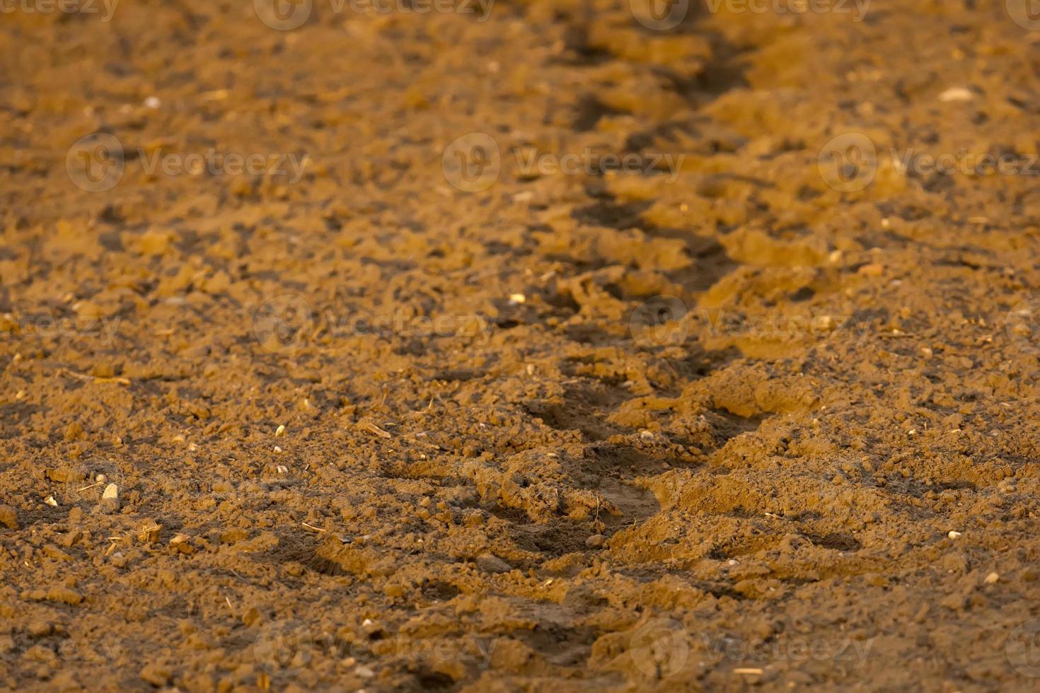 Natural soil ground brown background photo