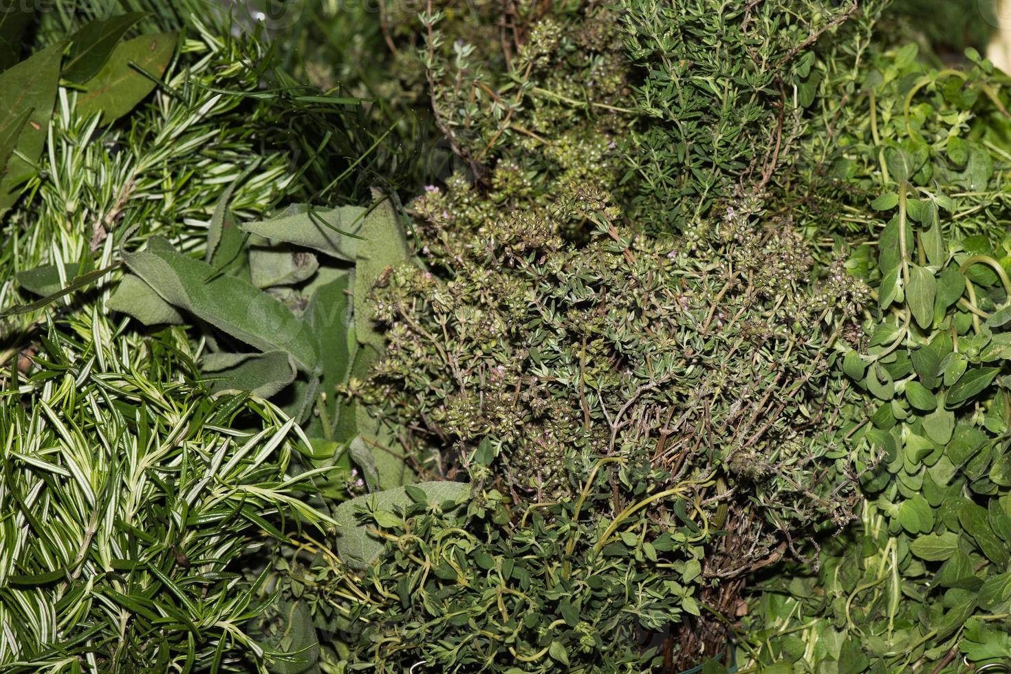 Fresh herbs on sale at Market photo