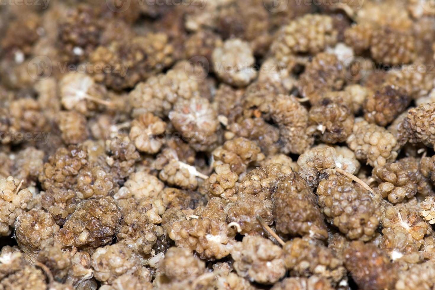 dried mulberry on sale at Market photo