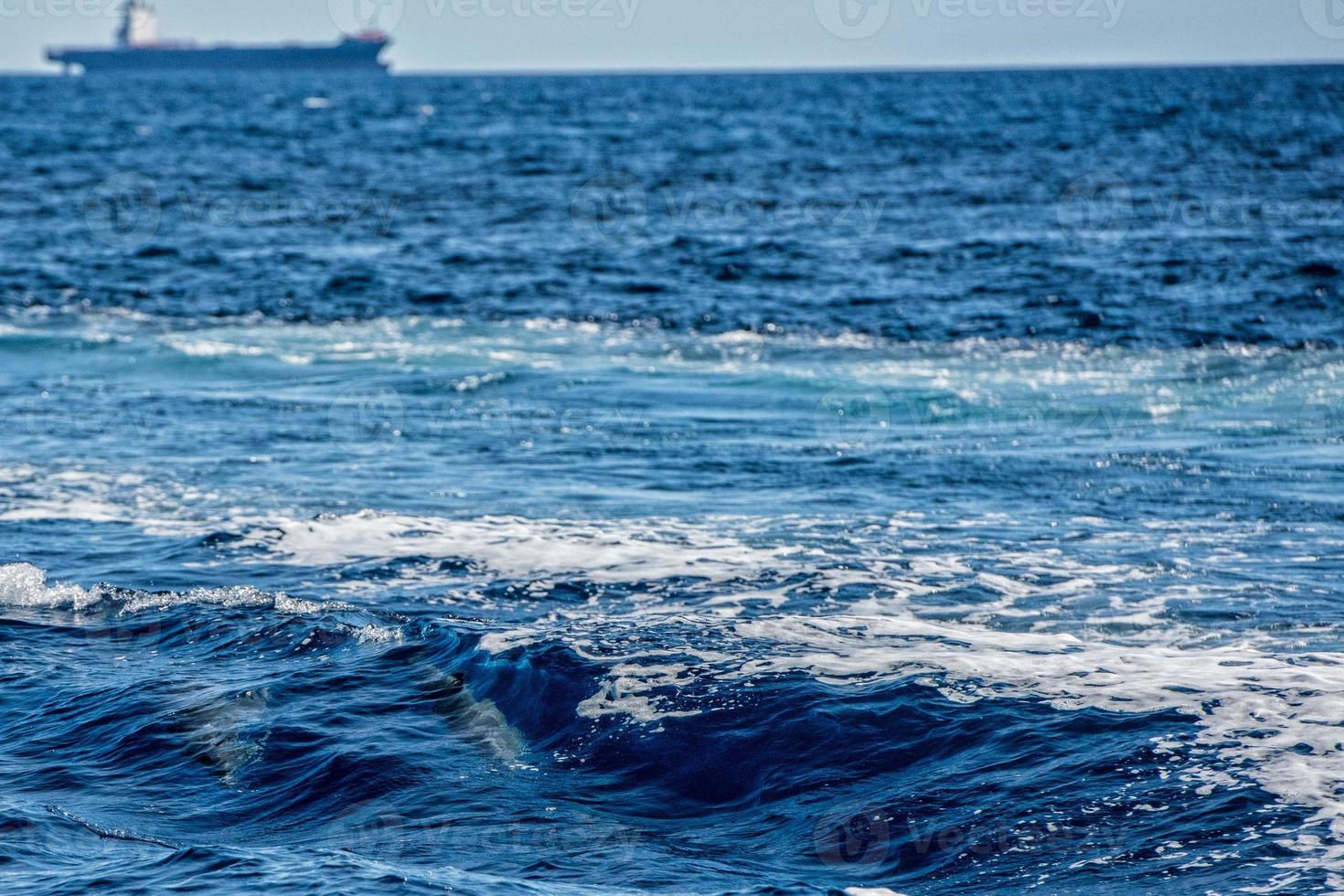 Dolphins while jumping in the deep blue sea photo