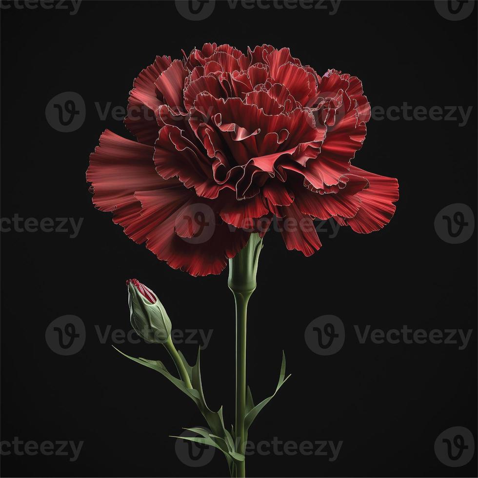 Plastic rose with bud isolated on the dark background. photo