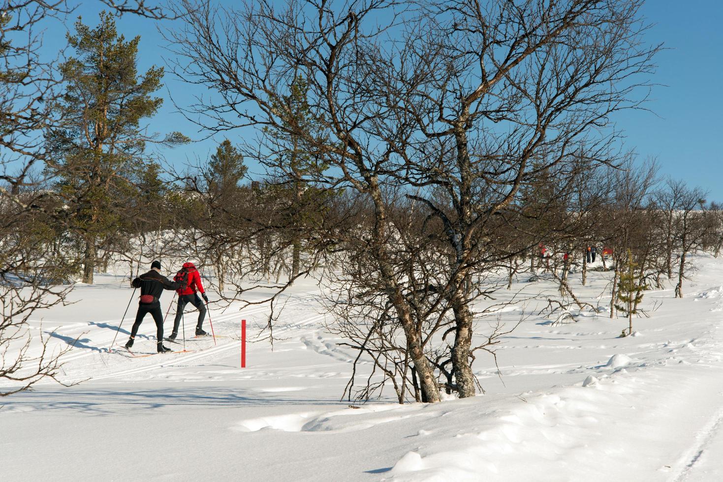 Unrecognizable people practising cross country ski photo