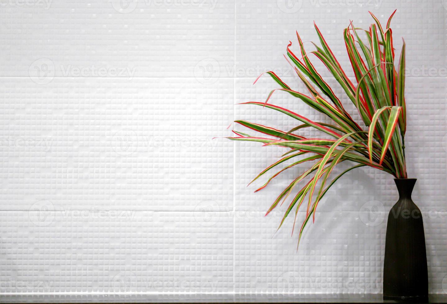 Ornamental plants in black vase front of white square pattern tile in the toilet. photo