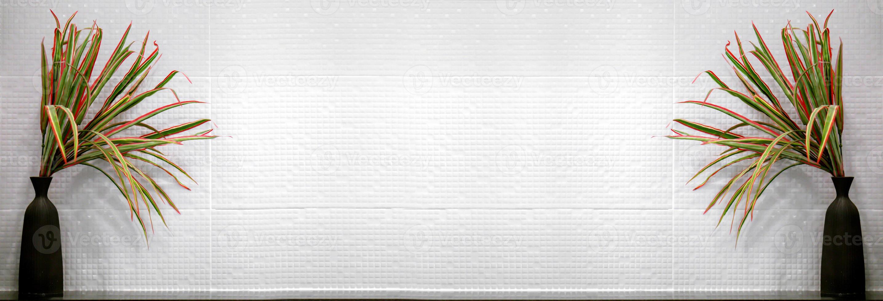 Wide screen image of ornamental plants in black vase front of white square pattern tile in the toilet. photo