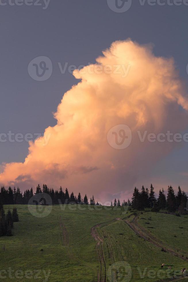 mullido puesta de sol nube creciente encima bosque colina paisaje foto