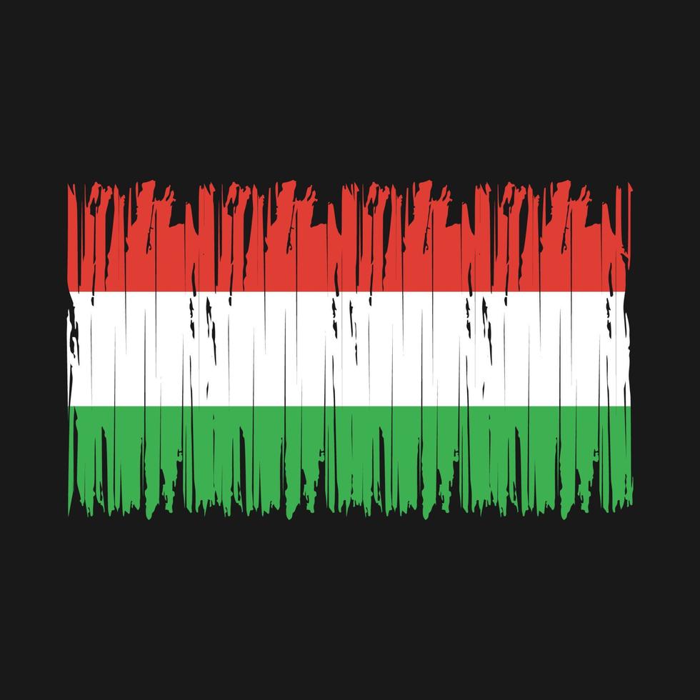 Hungary Flag Brush vector