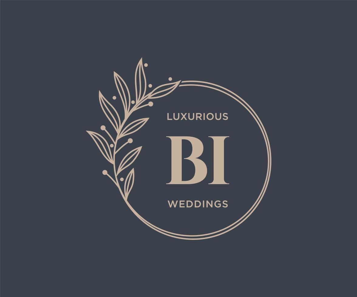 Plantilla de logotipos de monograma de boda con letras iniciales bi, plantillas florales y minimalistas modernas dibujadas a mano para tarjetas de invitación, guardar la fecha, identidad elegante. vector