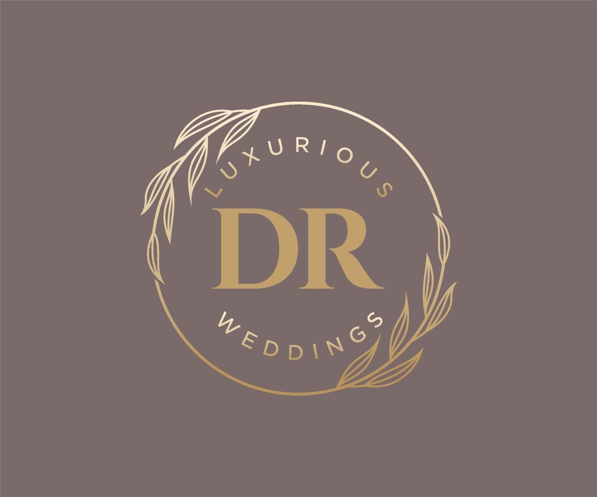 DR Initials letter Wedding monogram logos template, hand drawn modern minimalistic and floral templates for Invitation cards, Save the Date, elegant identity. vector