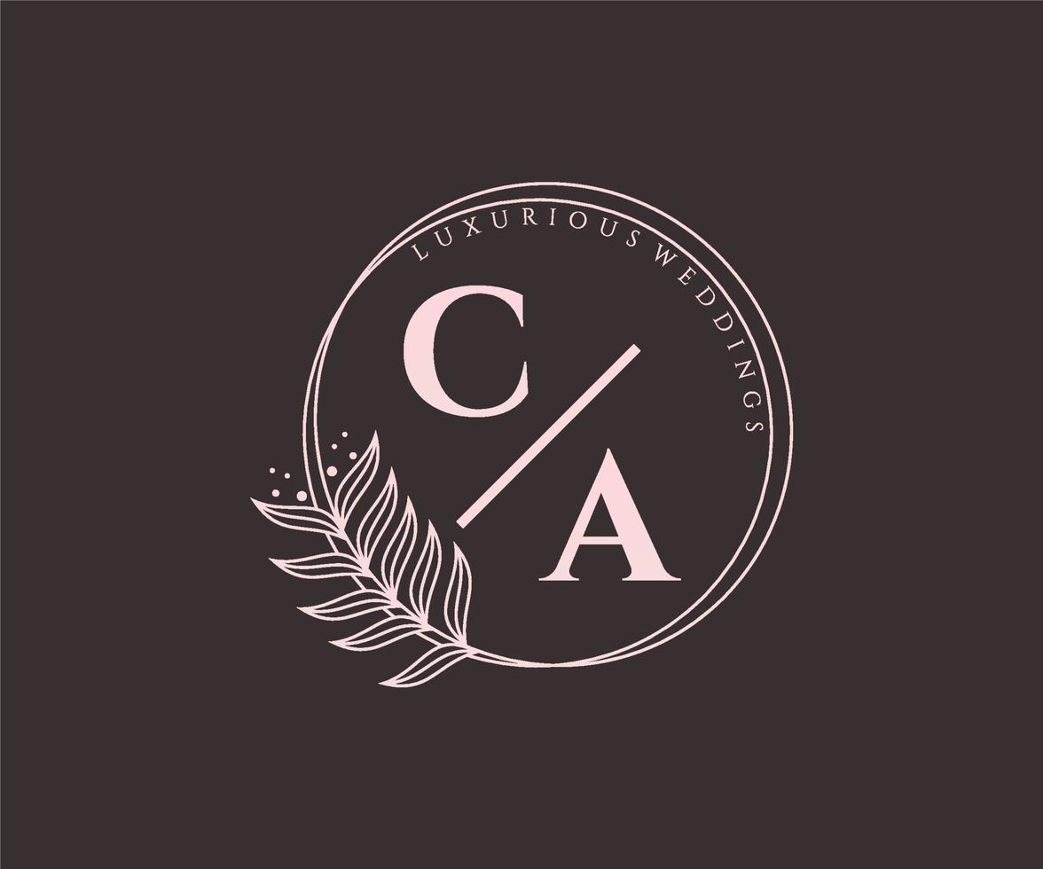 CA Initials letter Wedding monogram logos template, hand drawn modern minimalistic and floral templates for Invitation cards, Save the Date, elegant identity. vector