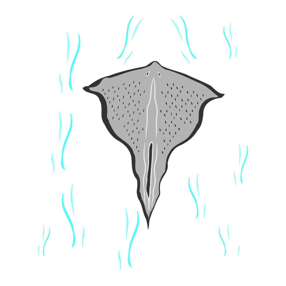 Gray stingray swim in the sea vector