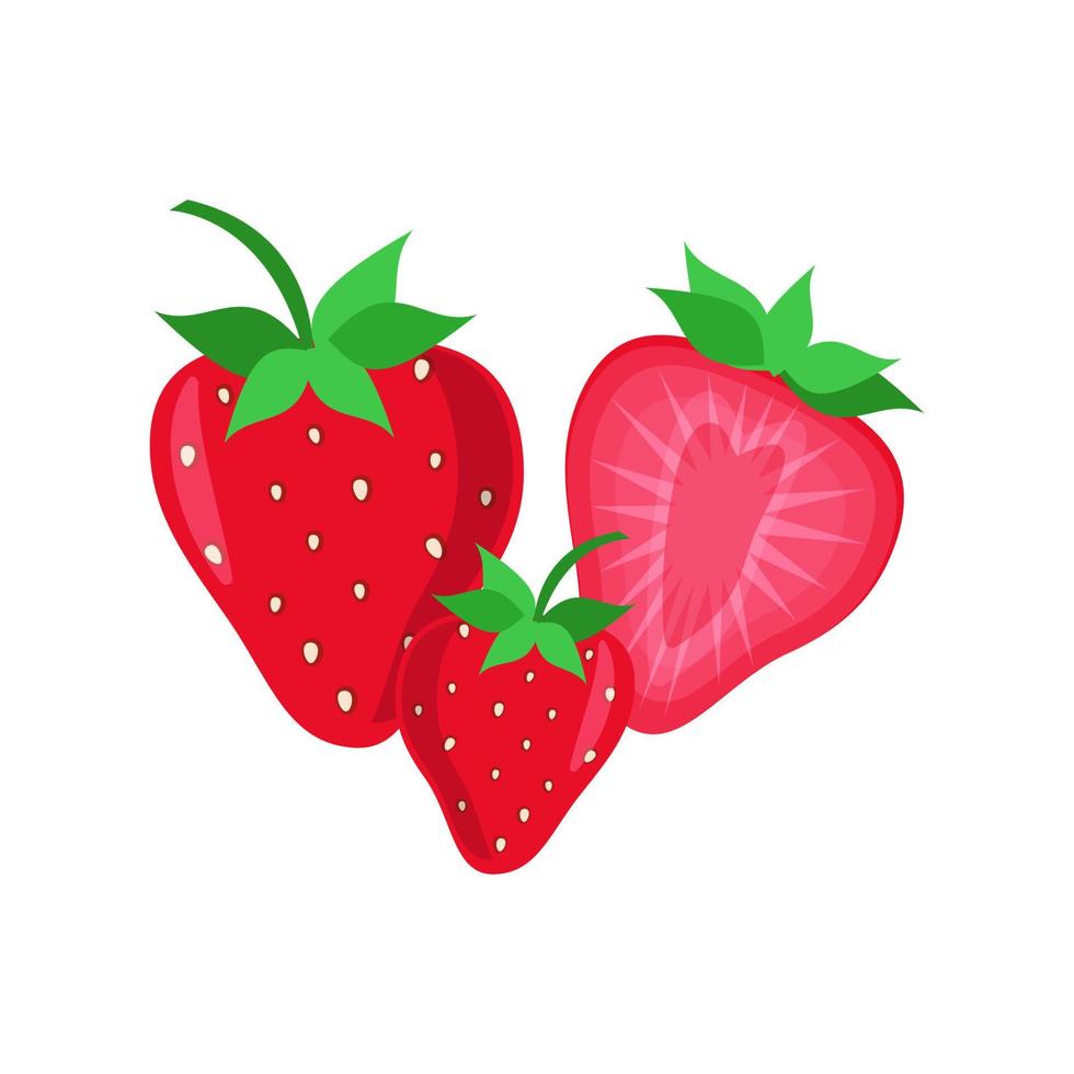 Strawberry fruit vector. Cartoon bright natural strawberrys isolated on white. Vector illustration of fresh farm organic berry used for magazine, book, poster, menu cover, web pages.