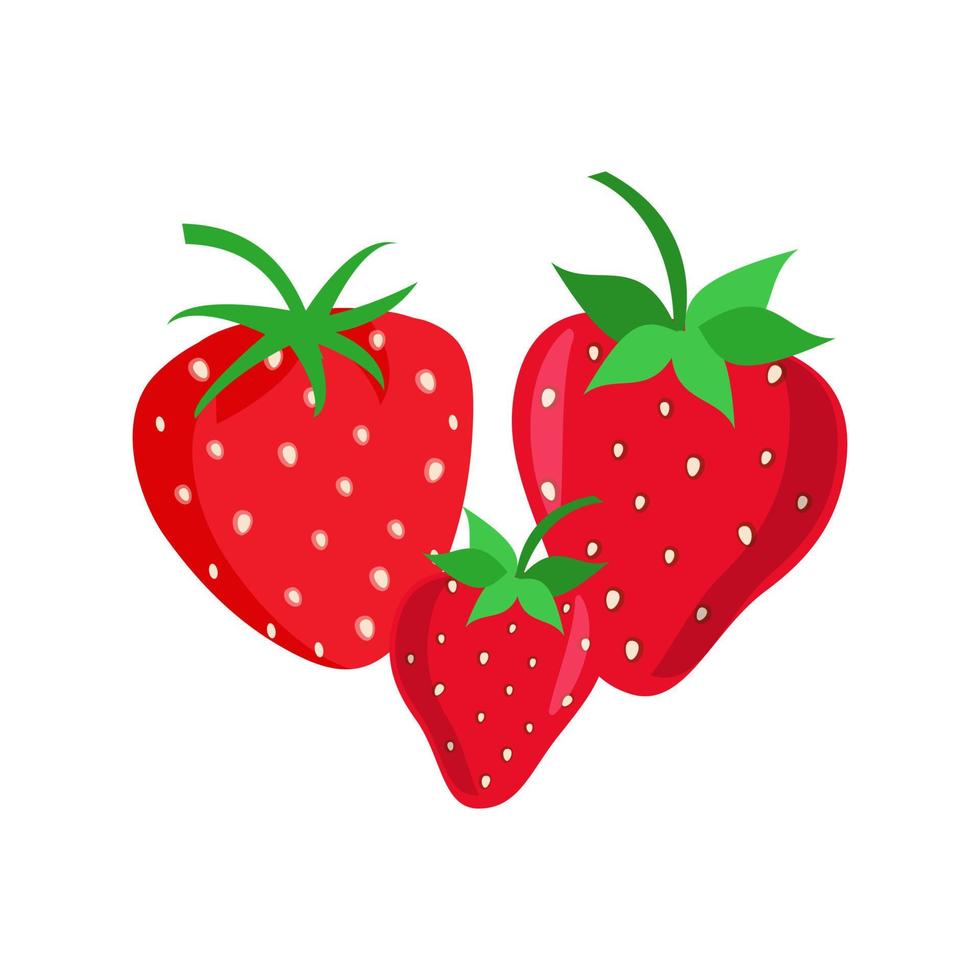 Strawberry fruit vector. Cartoon bright natural strawberrys isolated on white. Vector illustration of fresh farm organic berry used for magazine, book, poster, menu cover, web pages.