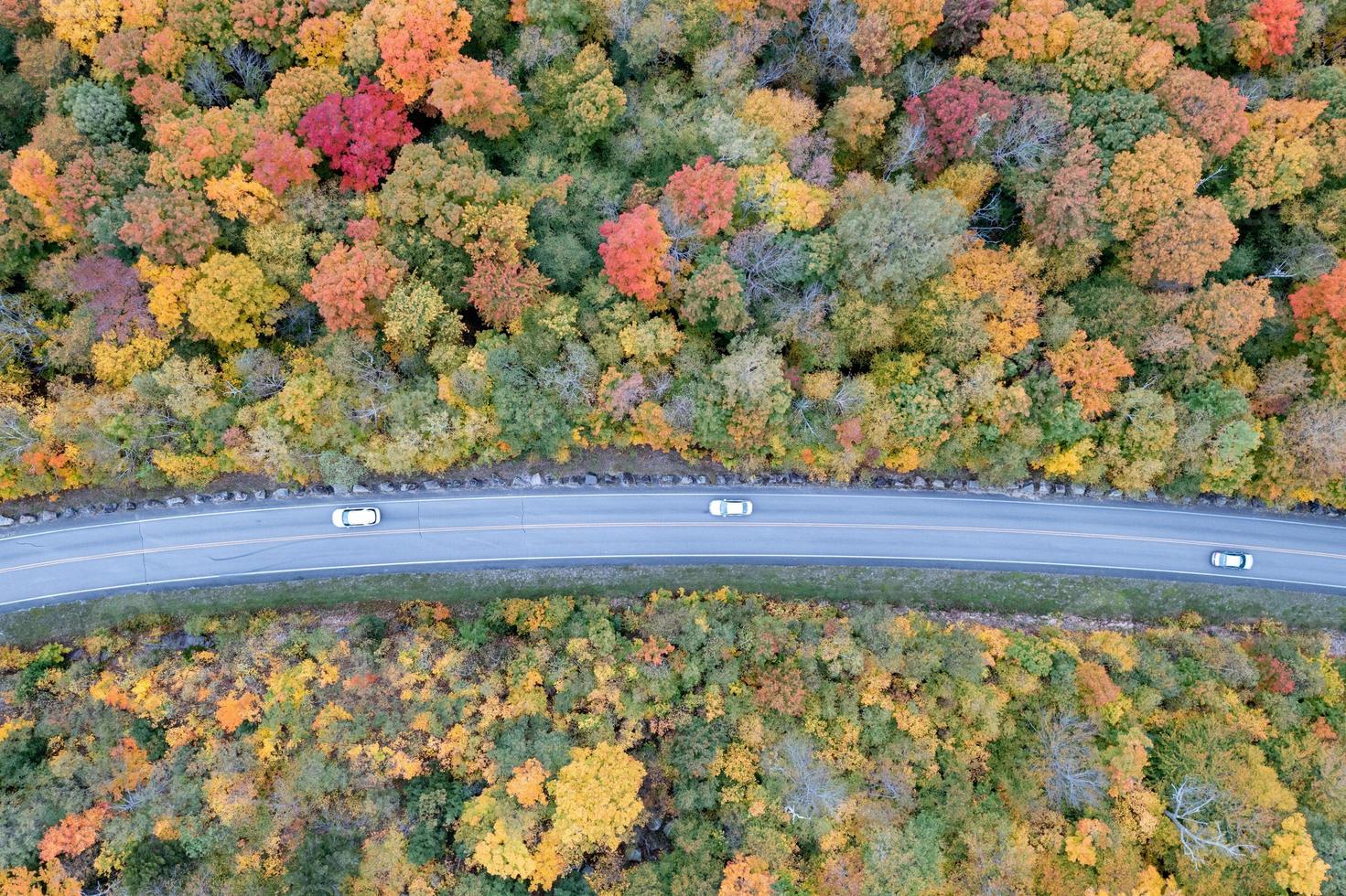 Peak foilage on the summit of Prospect Mountain in Lake George, New York. photo