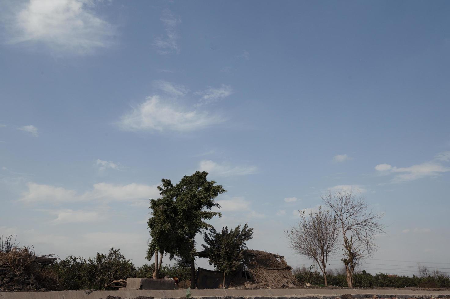 Landscape showing agricultural fields in Egypt photo