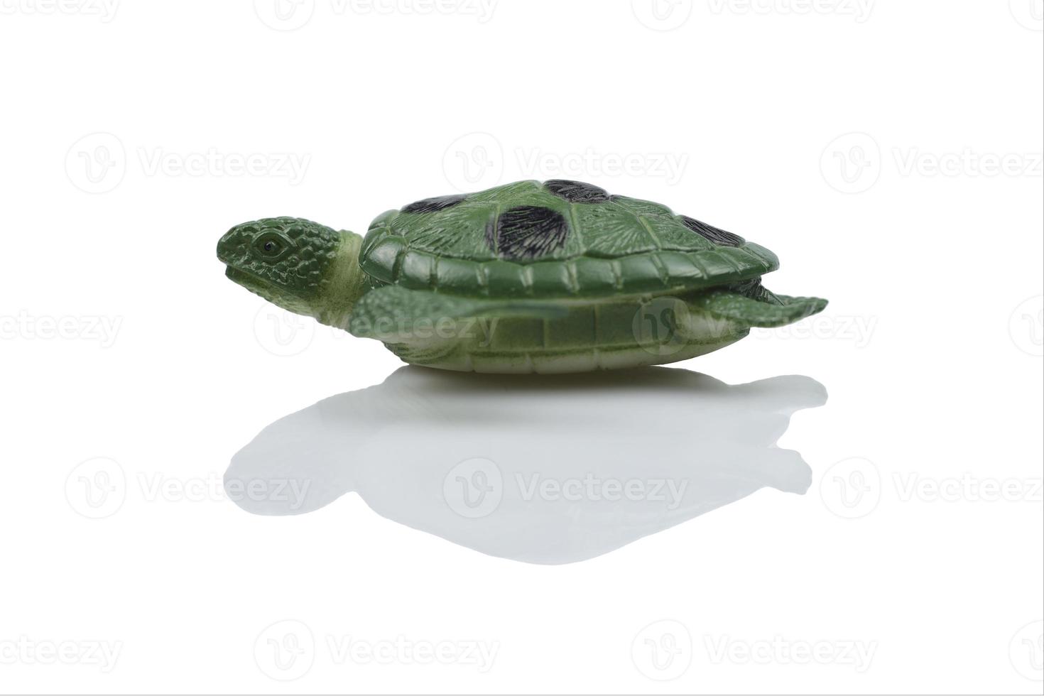 Rubber toy green turtle on a white background. Child's toy green turtle isolated over white background. photo