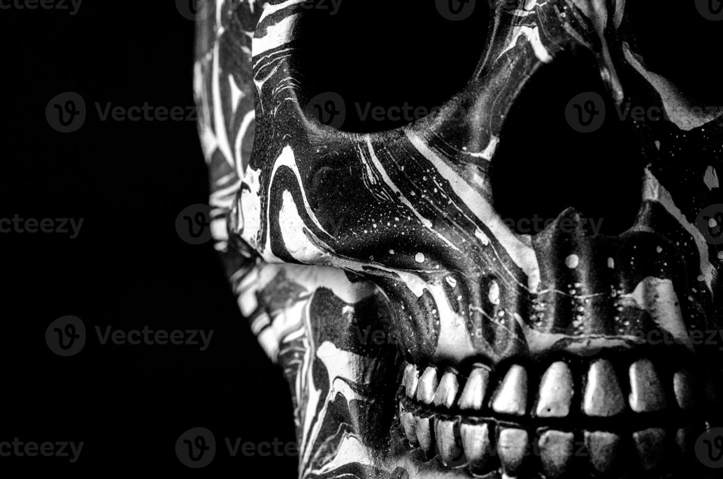 Close up of Skull photo