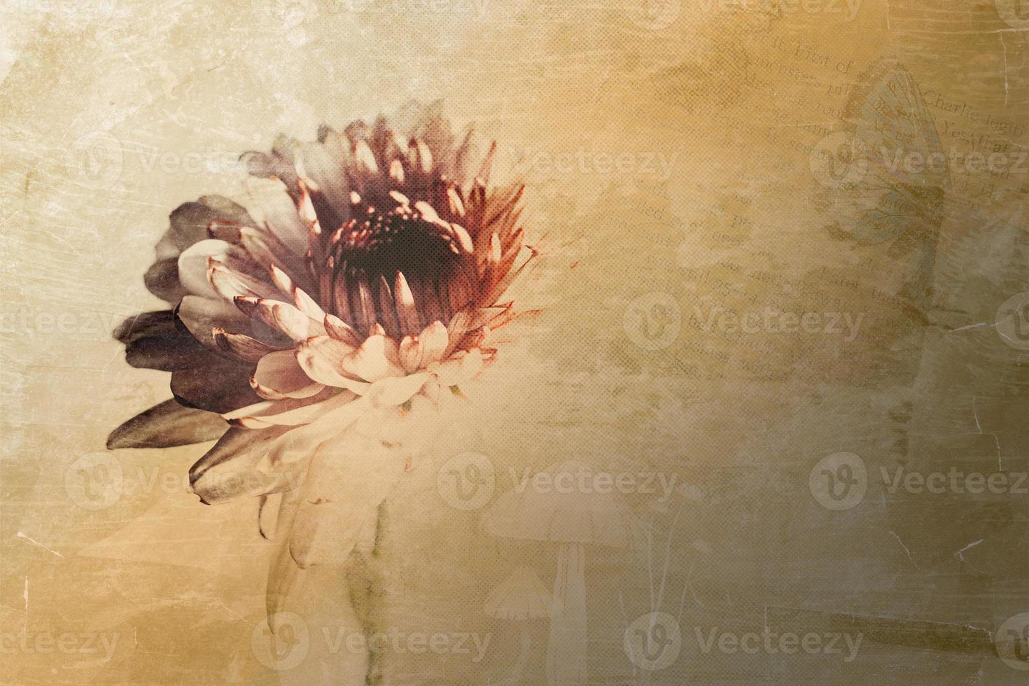 Creative Flower Photograph with Texture Effects photo