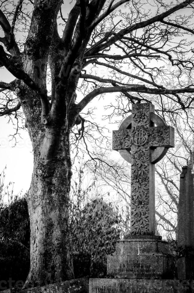 Tree next to Cross Gravestone in Cemetery photo