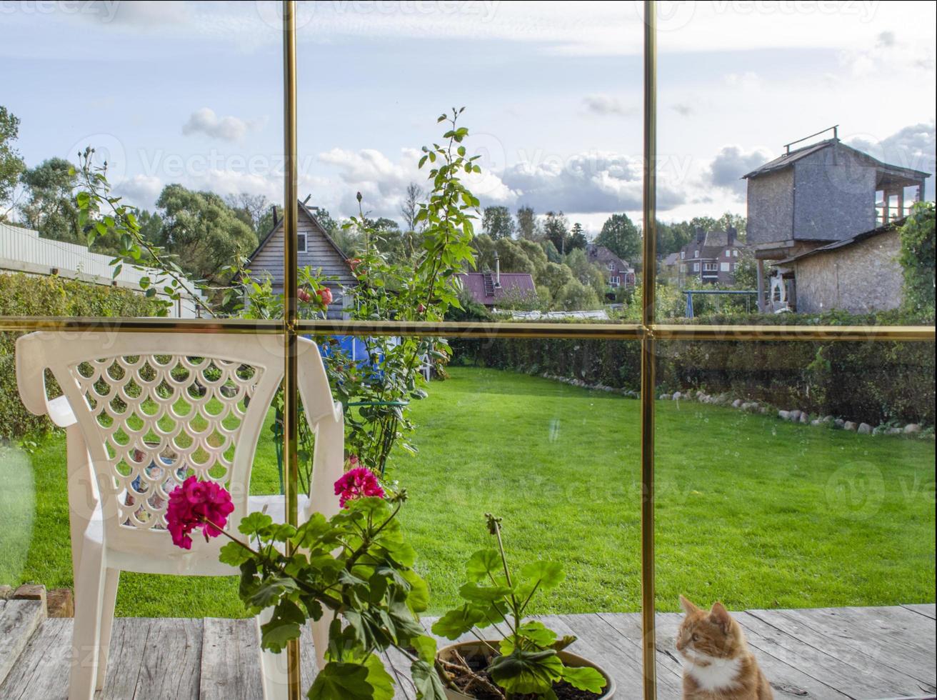 Great view from the window. Summer landscape from the window. Buildings, lawn and flowers are visible. The ginger cat is sitting behind the glass. photo