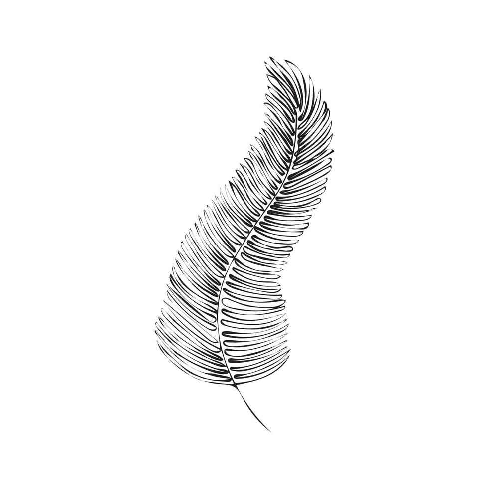 Hand-drawn black isolated feather like a leaf on white background vector