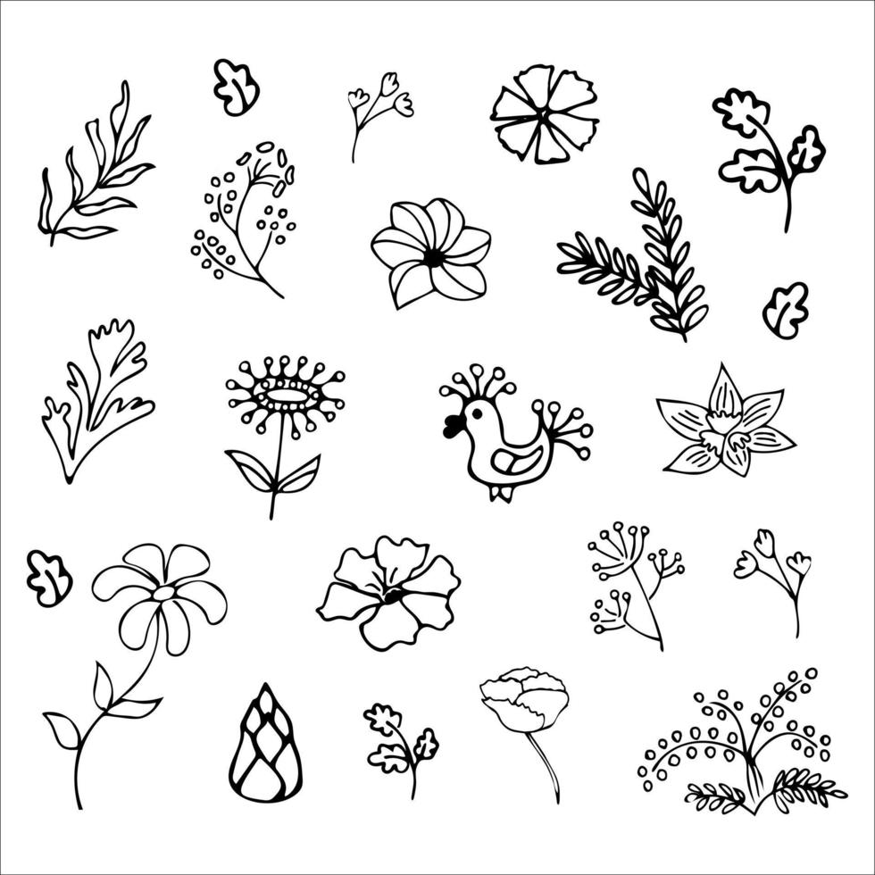 Floral hand-drawn doodles set. Flowers and leafs vector