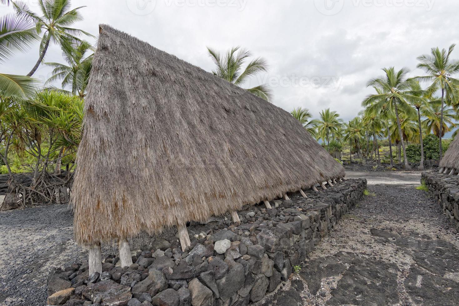 hawaiian hut on the beach photo