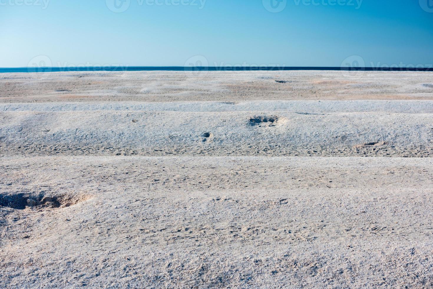 shell beach in west australia photo