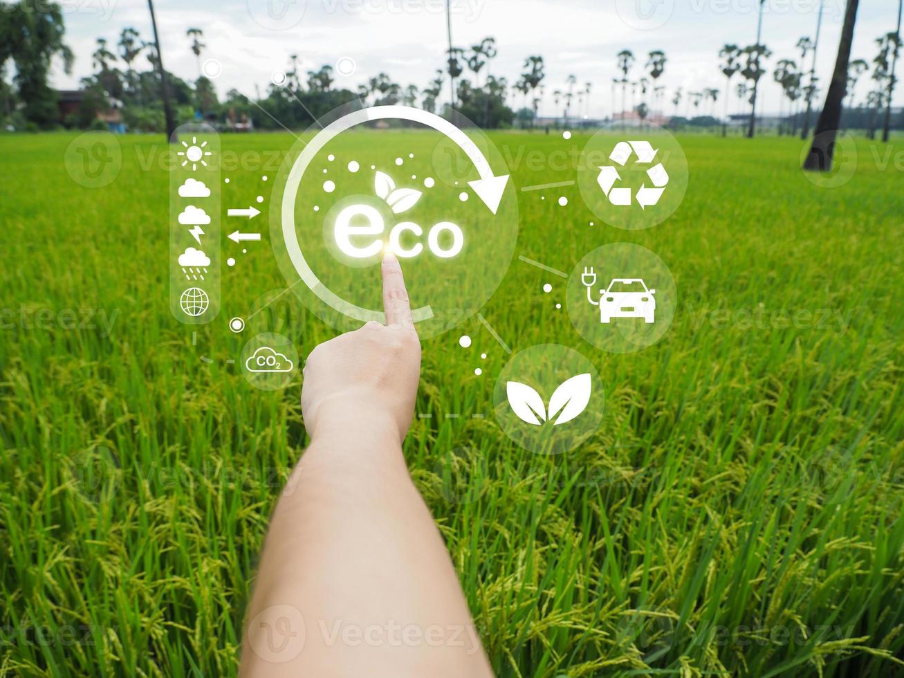 Environmental technology concept. Eco technology pointing. Connecting technology to save the earth. Green background. ECO icon is bright. photo