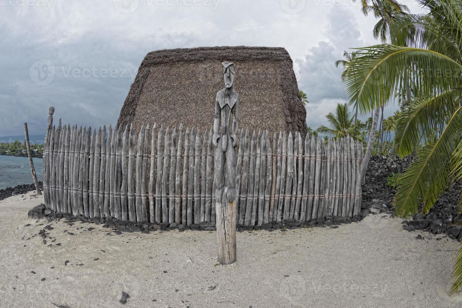 hawaiian hut on the beach photo