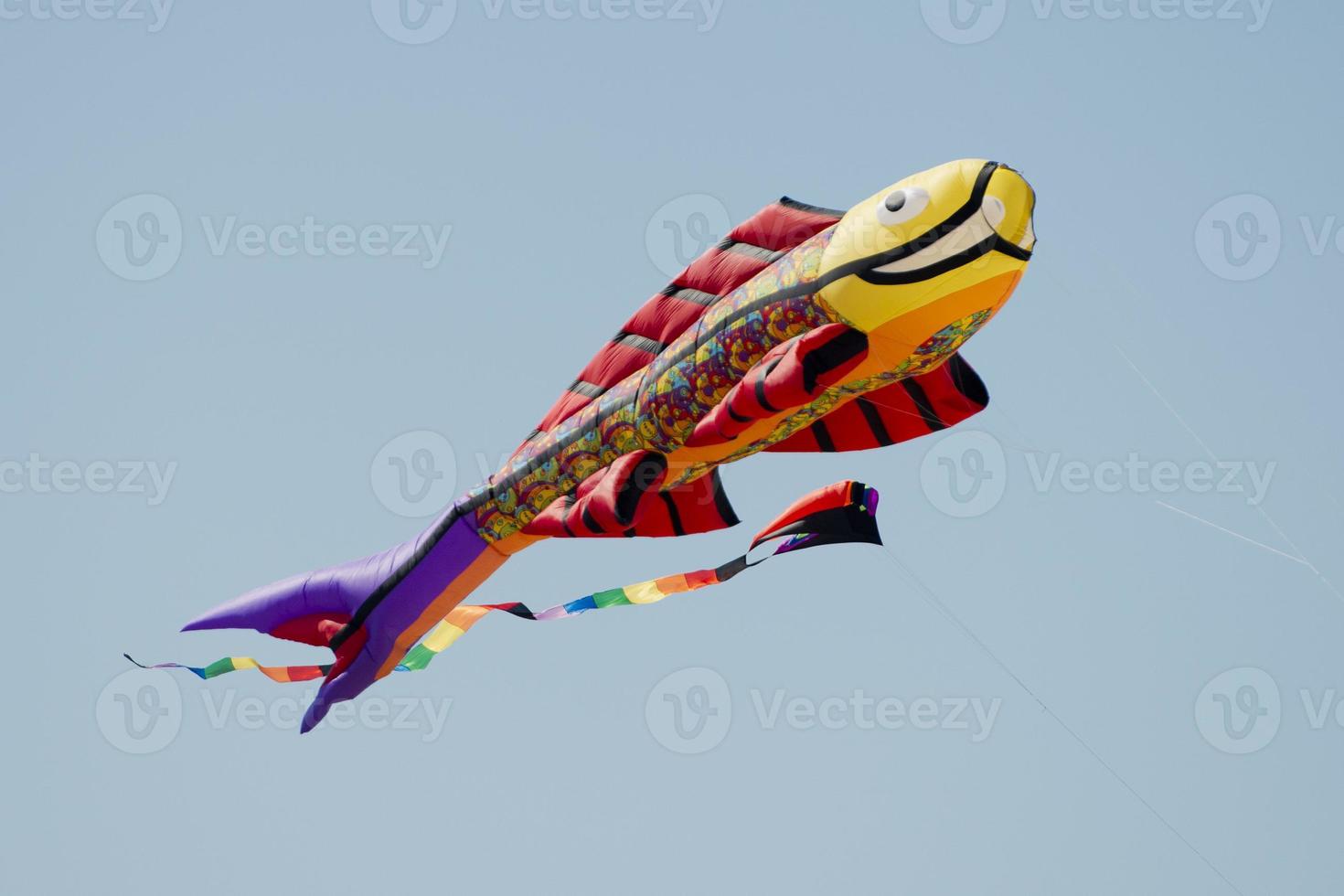 Fish kite on the sky background photo