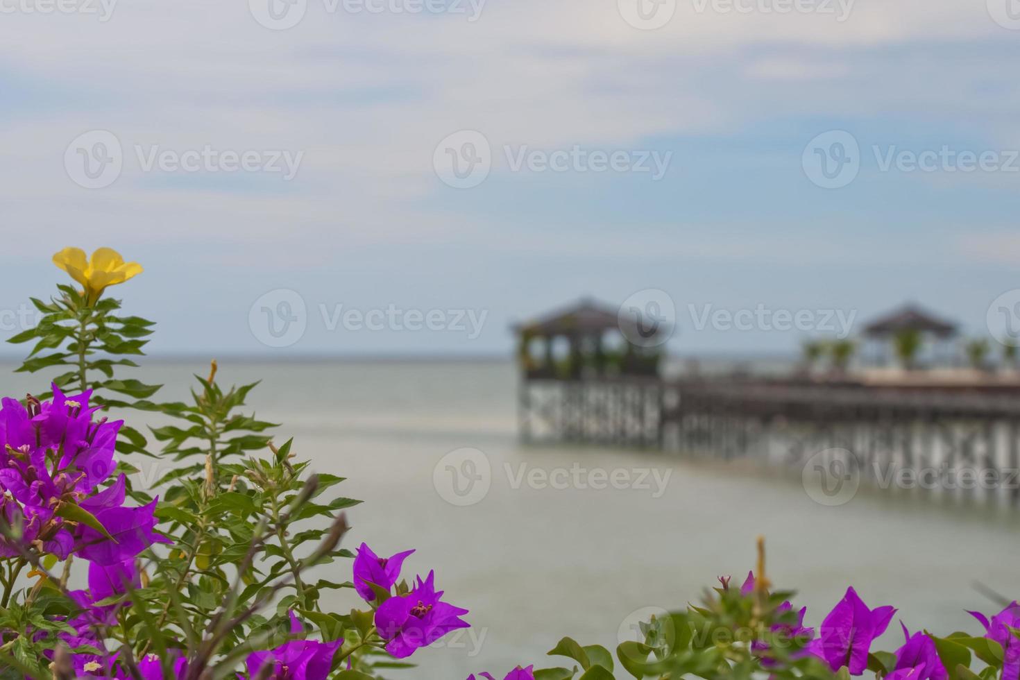 Kapalai Resort view Turquoise Tropical Paradise Crystal Water Borneo Indonesia photo